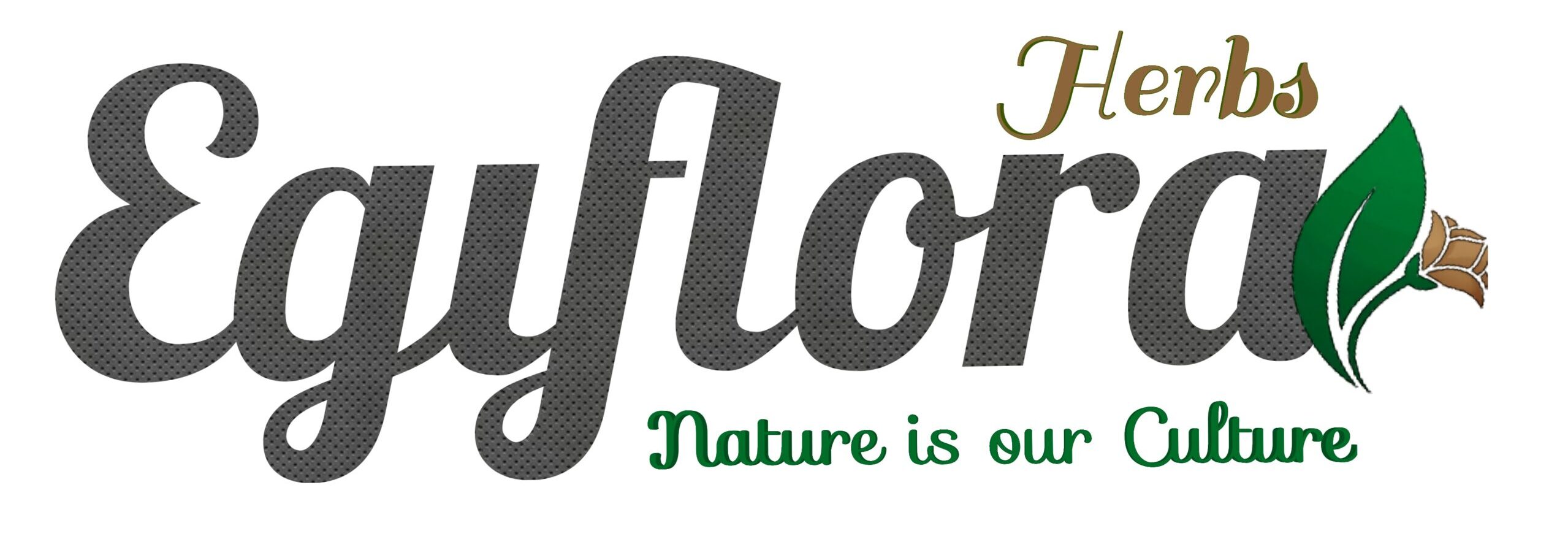 logopit 1751364154916